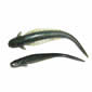 Bait Breath Real Evolution 3.5" 'Slice Shad' Image 1