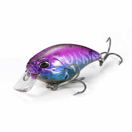 Duo Realis Apex Crank 66 Squared
