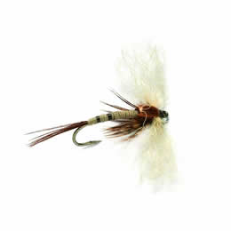 Spent Mayfly - Fulling Mill