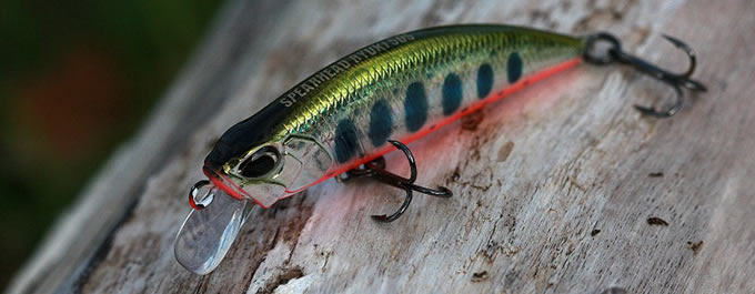 Lure Heaven - Online Lure Fishing Specialist - Shop online for Bass Lures,  HRF, LRF Fishing, Slow-Jigging, Fly Fishing Tackle, Soft Baits, Ima,  Megabass, Graphiteleader, Bait Breath,Toray, Gary Yamamoto Custom Baits,  Keitech